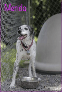 Screen shot 2014-06-04 at 10.52.05 AM