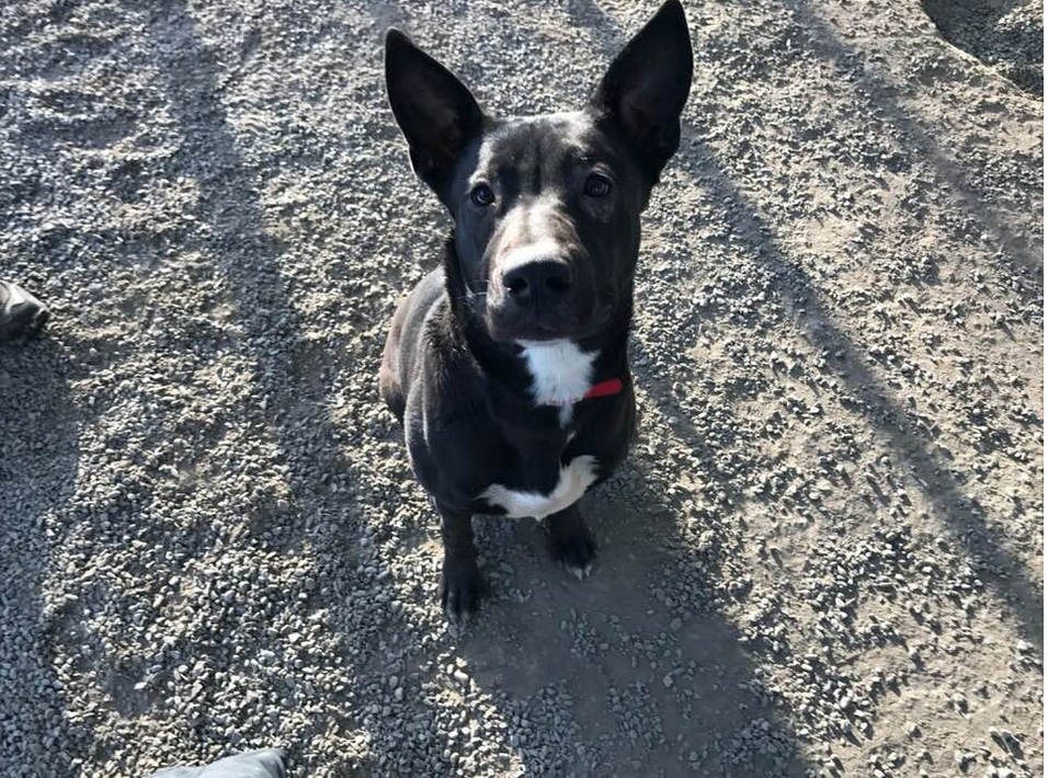 Screen Shot 2018-01-05 at 11.27.15 AM