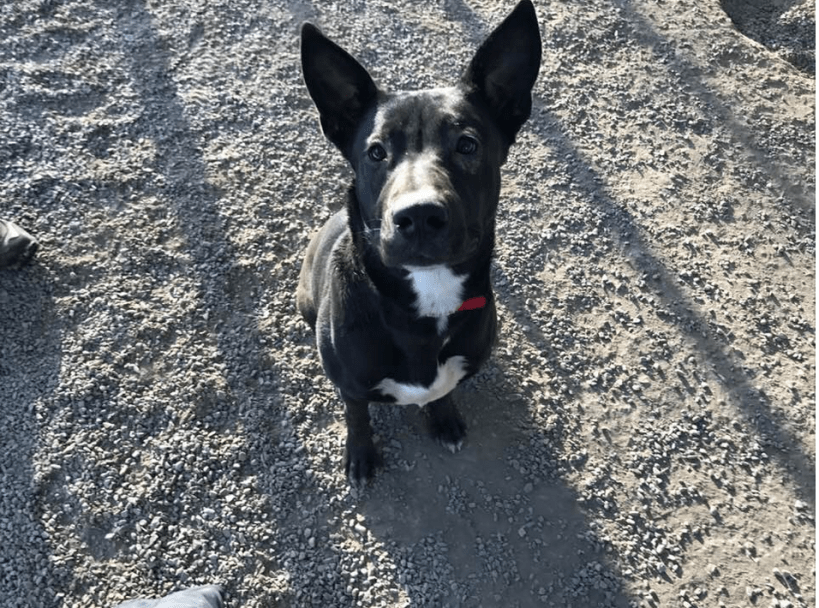 Screen Shot 2018-01-05 at 11.27.15 AM