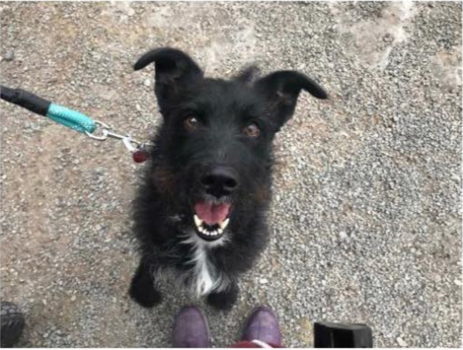 Screen Shot 2018-01-05 at 11.27.37 AM