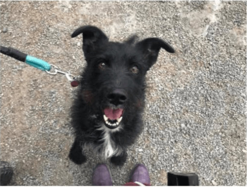 Screen Shot 2018-01-05 at 11.27.37 AM