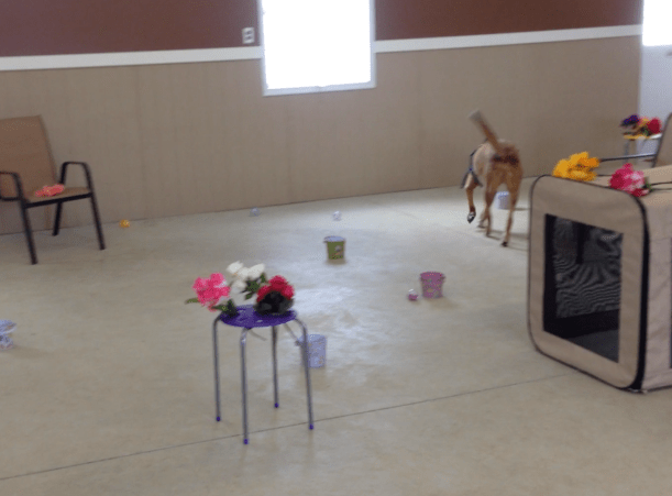 Screen Shot 2018-03-31 at 10.16.52 AM