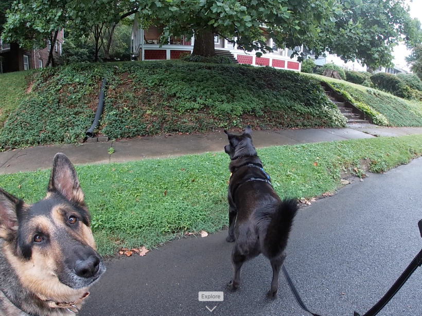 Screen Shot 2019-07-21 at 4.27.50 PM