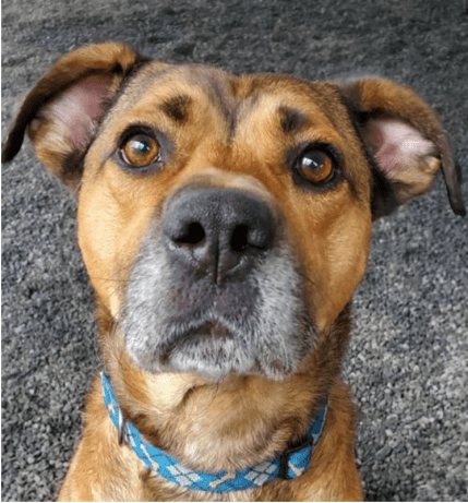 Screen Shot 2020-06-13 at 12.08.37 PM